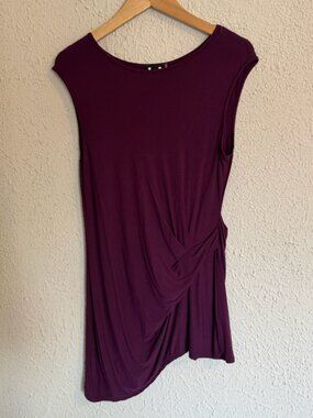 Long Plum Blouse/Dress